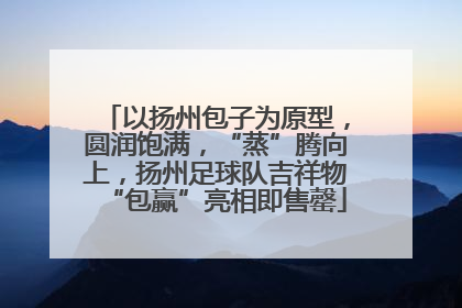 以扬州包子为原型，圆润饱满，“蒸”腾向上，扬州足球队吉祥物“包赢”亮相即售罄
