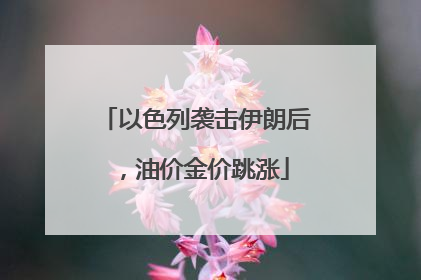 以色列袭击伊朗后，油价金价跳涨