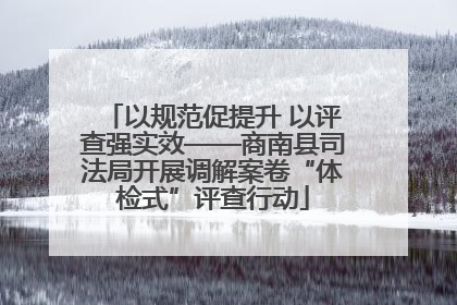 以规范促提升 以评查强实效——商南县司法局开展调解案卷“体检式”评查行动