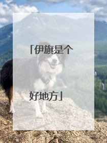 伊旗是个好地方