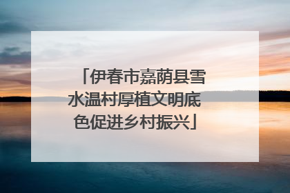 伊春市嘉荫县雪水温村厚植文明底色促进乡村振兴