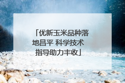 优新玉米品种落地昌平 科学技术指导助力丰收