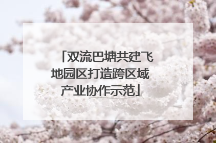双流巴塘共建飞地园区打造跨区域产业协作示范