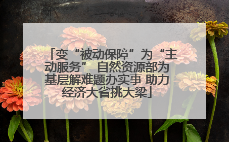 变“被动保障”为“主动服务” 自然资源部为基层解难题办实事 助力经济大省挑大梁