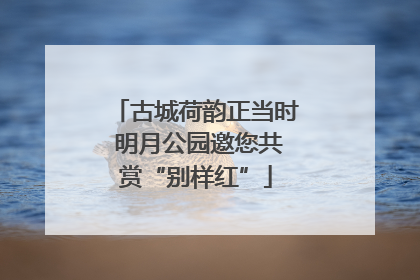 古城荷韵正当时 明月公园邀您共赏“别样红”