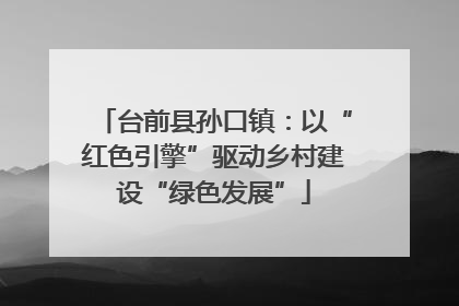 台前县孙口镇：以“红色引擎”驱动乡村建设“绿色发展”