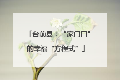 台前县：“家门口”的幸福“方程式”