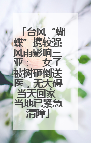 台风“蝴蝶”携较强风雨影响三亚：一女子被树砸倒送医，无大碍当天回家 当地已紧急清障
