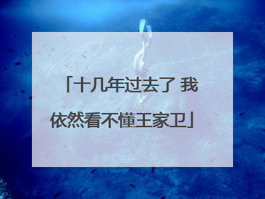 十几年过去了 我依然看不懂王家卫