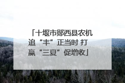 十堰市郧西县农机追“丰”正当时 打赢“三夏”促增收
