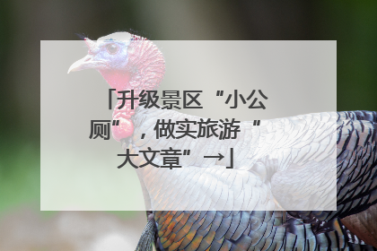 升级景区“小公厕”，做实旅游“大文章”→