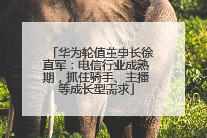 华为轮值董事长徐直军：电信行业成熟期，抓住骑手、主播等成长型需求