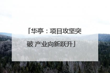 华亭：项目攻坚突破 产业向新跃升