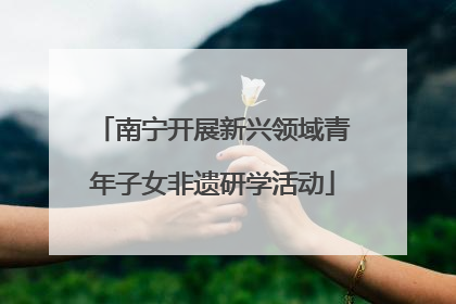 南宁开展新兴领域青年子女非遗研学活动