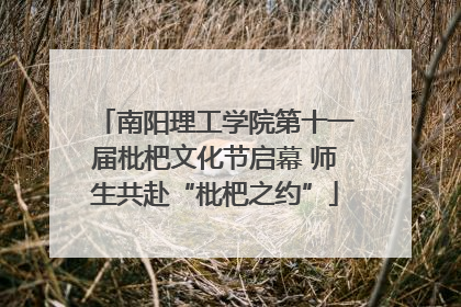 南阳理工学院第十一届枇杷文化节启幕 师生共赴“枇杷之约”