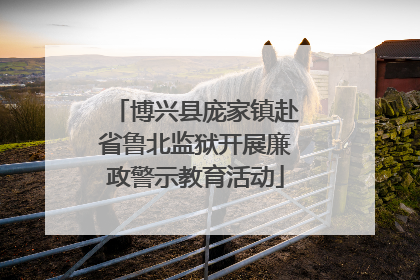博兴县庞家镇赴省鲁北监狱开展廉政警示教育活动
