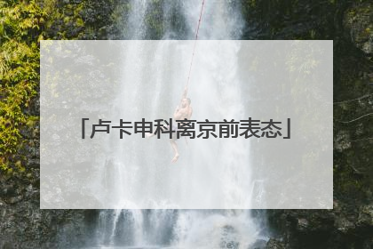 卢卡申科离京前表态