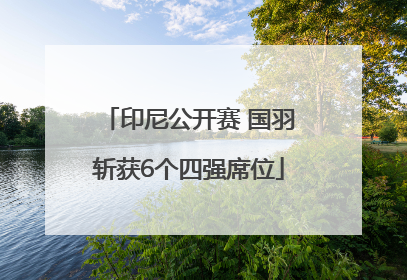 印尼公开赛 国羽斩获6个四强席位