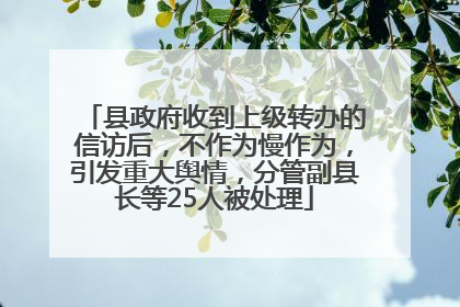 县政府收到上级转办的信访后，不作为慢作为，引发重大舆情，分管副县长等25人被处理