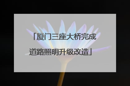 厦门三座大桥完成道路照明升级改造