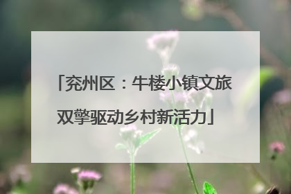 兖州区：牛楼小镇文旅双擎驱动乡村新活力