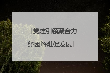 党建引领聚合力 纾困解难促发展