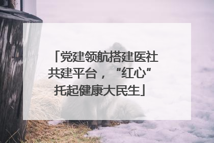 党建领航搭建医社共建平台，“红心”托起健康大民生