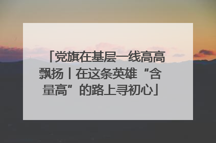 党旗在基层一线高高飘扬丨在这条英雄“含量高”的路上寻初心