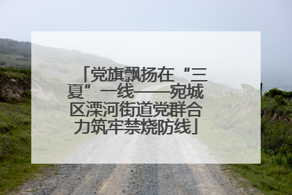 党旗飘扬在“三夏”一线——宛城区溧河街道党群合力筑牢禁烧防线