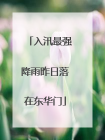 入汛最强降雨昨日落在东华门