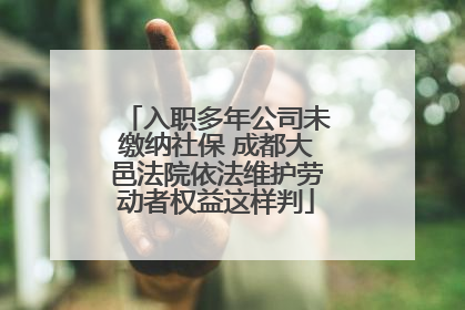 入职多年公司未缴纳社保 成都大邑法院依法维护劳动者权益这样判