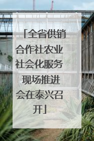 全省供销合作社农业社会化服务 现场推进会在泰兴召开