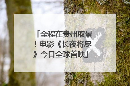 全程在贵州取景！电影《长夜将尽》今日全球首映
