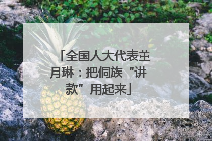 全国人大代表董月琳：把侗族“讲款”用起来