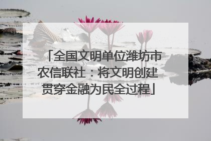 全国文明单位潍坊市农信联社：将文明创建贯穿金融为民全过程