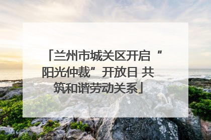 兰州市城关区开启“阳光仲裁”开放日 共筑和谐劳动关系
