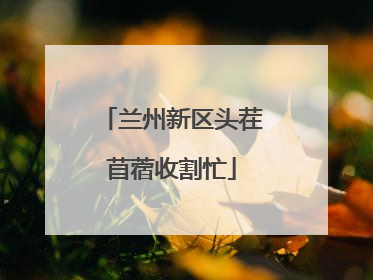 兰州新区头茬苜蓿收割忙