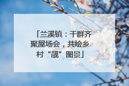 兰溪镇：干群齐聚屋场会，共绘乡村“靓”图景