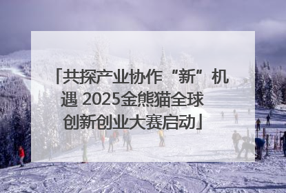 共探产业协作“新”机遇 2025金熊猫全球创新创业大赛启动