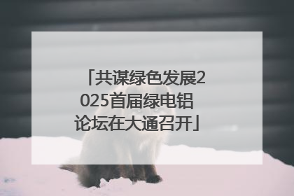 共谋绿色发展2025首届绿电铝论坛在大通召开