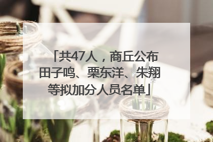 共47人，商丘公布田子鸣、栗东洋、朱翔等拟加分人员名单