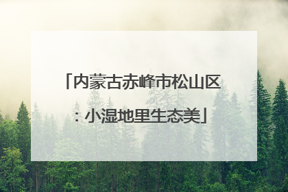 内蒙古赤峰市松山区：小湿地里生态美