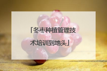 冬枣种植管理技术培训到地头