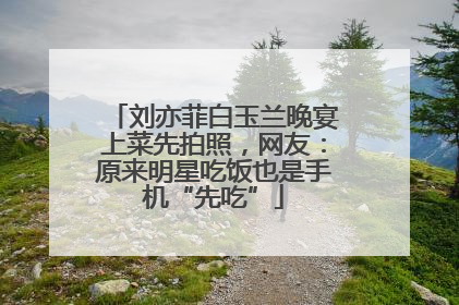 刘亦菲白玉兰晚宴上菜先拍照，网友：原来明星吃饭也是手机“先吃”