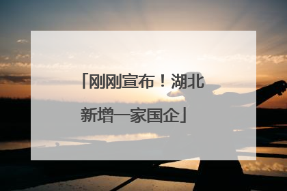 刚刚宣布！湖北新增一家国企