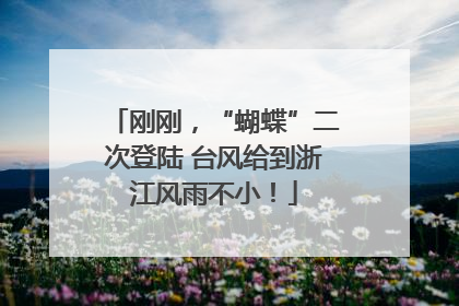 刚刚，“蝴蝶”二次登陆 台风给到浙江风雨不小！
