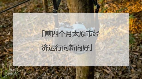 前四个月太原市经济运行向新向好
