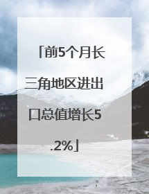 前5个月长三角地区进出口总值增长5.2%