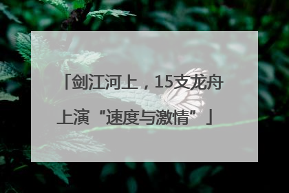 剑江河上，15支龙舟上演“速度与激情”
