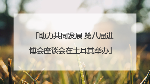 助力共同发展 第八届进博会座谈会在土耳其举办